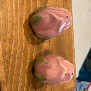 Franciscan Floral Pink and Green Shakers